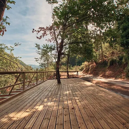 Nature Apartament Pincelo