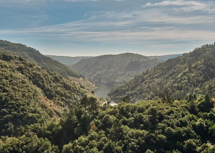 Nature Lägenhet Pincelo